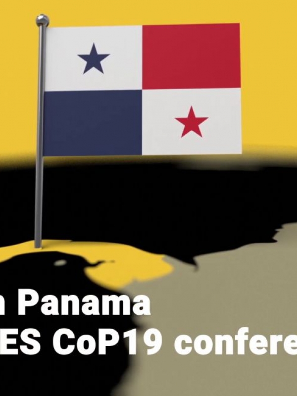 CoP19