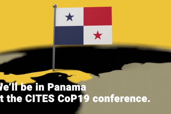 CoP19
